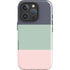 Striped Spring Colors iPhone 16 Pro Max Impact Case